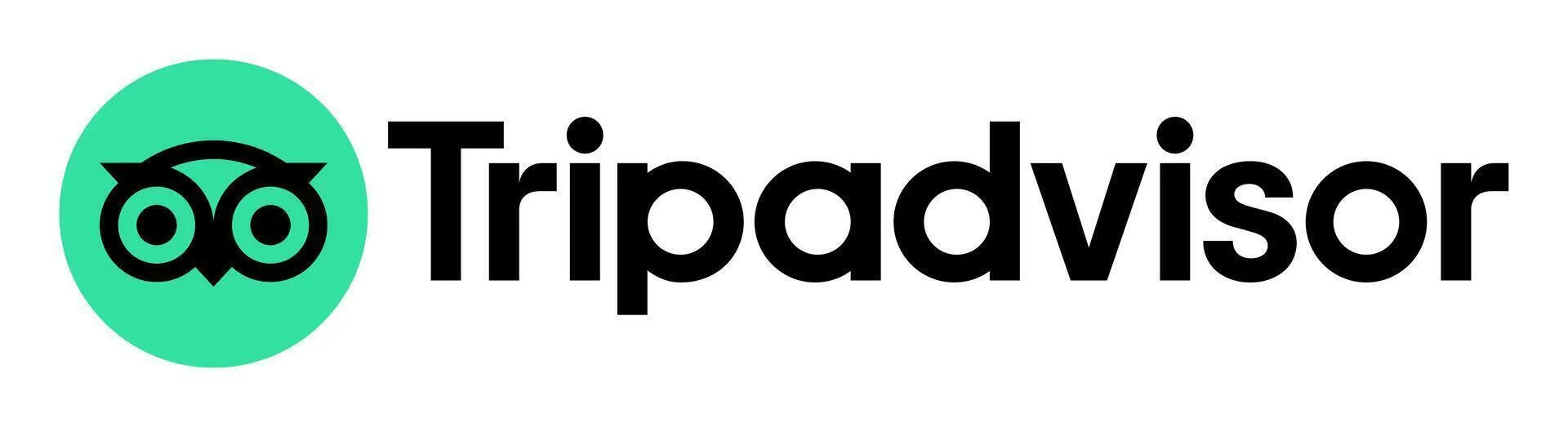 Tripadvisor reviews for Unearthing Opal Experience